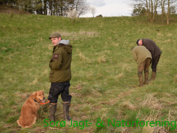 Hundetræning forår 2016